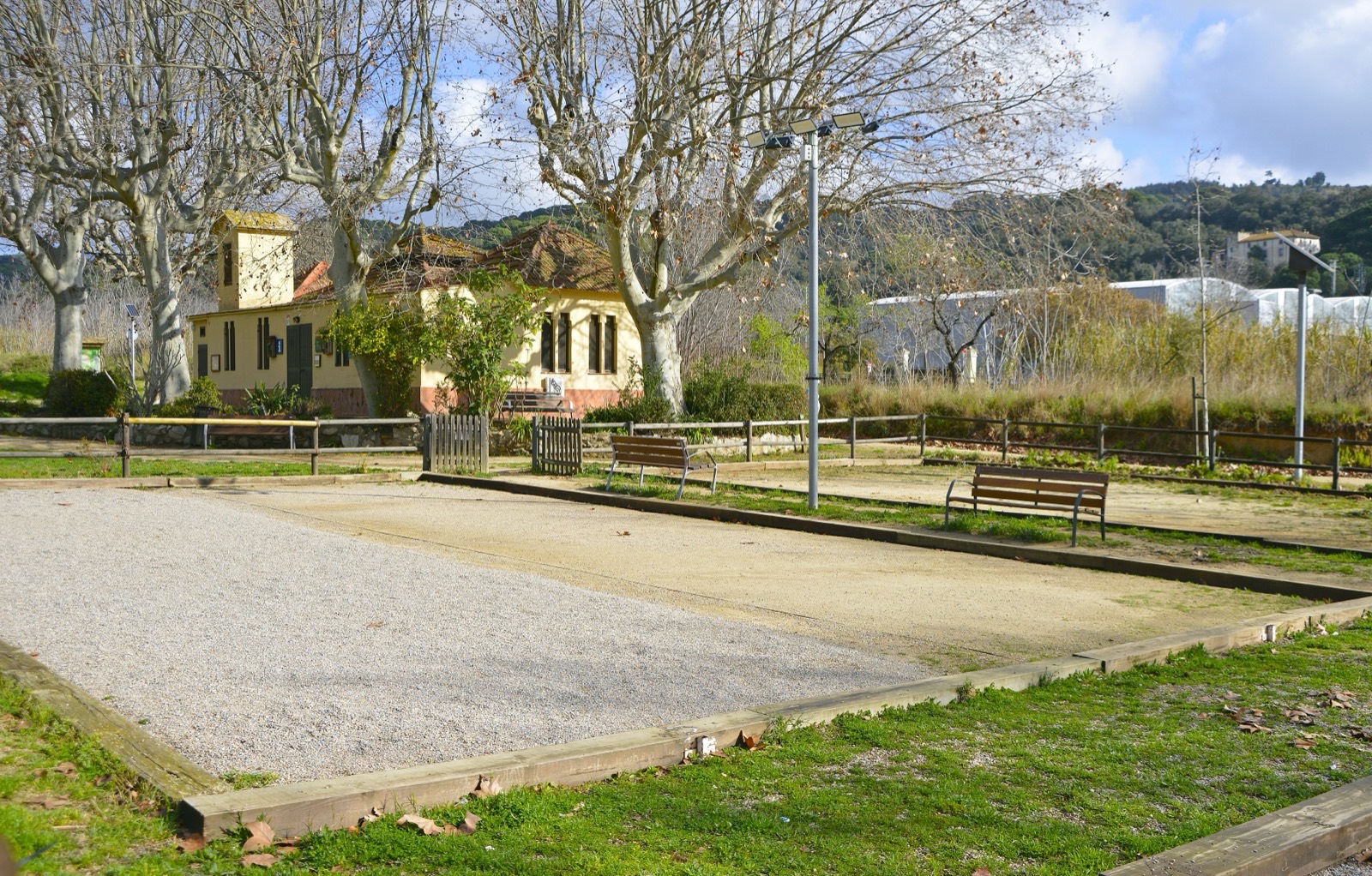Boulodrome de village bordé de platanes